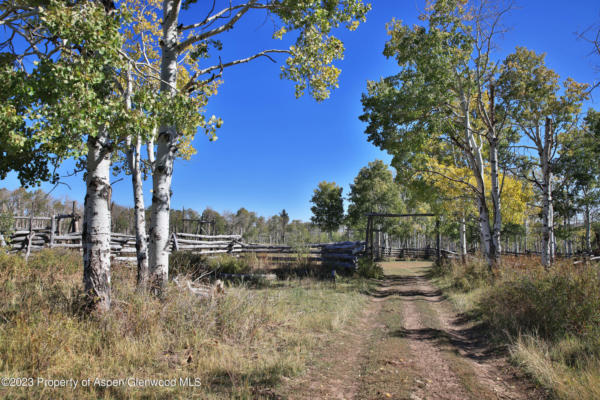 TBD DIVIDE ROAD, WHITEWATER, CO 81527, photo 4 of 39