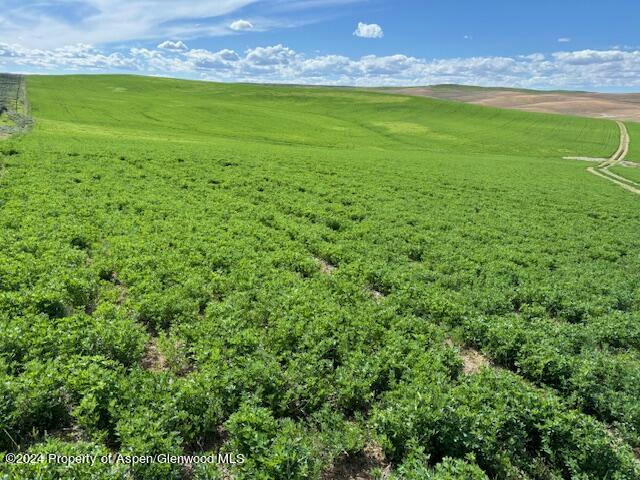 TBD COUNTY ROAD 103, CRAIG, CO 81625, photo 1 of 11