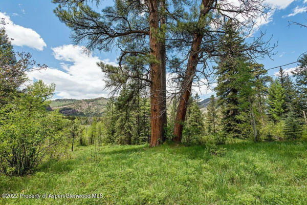 TBD FIREHOUSE ROAD, REDSTONE, CO 81623 - Image 1