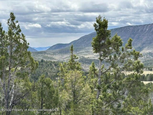 TBD LOT13 266 ROAD, RIFLE, CO 81650, photo 4 of 23
