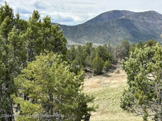 TBD LOT13 266 ROAD, RIFLE, CO 81650, photo 5 of 23
